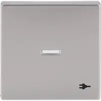 Busch-Jaeger schakelwip met controlevenster en symbool stekker Future Linear Pure Stainless Steel (1789 ST-866)