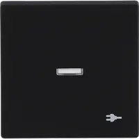 Busch-Jaeger schakelwip controlevenster symbool stekker Future Linear zwart mat (1789 ST-885)