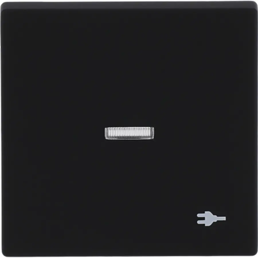 Busch-Jaeger schakelwip controlevenster symbool stekker Future Linear zwart mat (1789 ST-885)