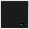 Busch-Jaeger schakelwip symbool sleutel Future Linear zwart mat (2520 TR-885) Busch-Jaeger schakelwip symbool sleutel Future Linear zwart mat (2520 TR-885)