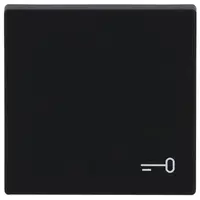 Busch-Jaeger schakelwip symbool sleutel Future Linear zwart mat (2520 TR-885)