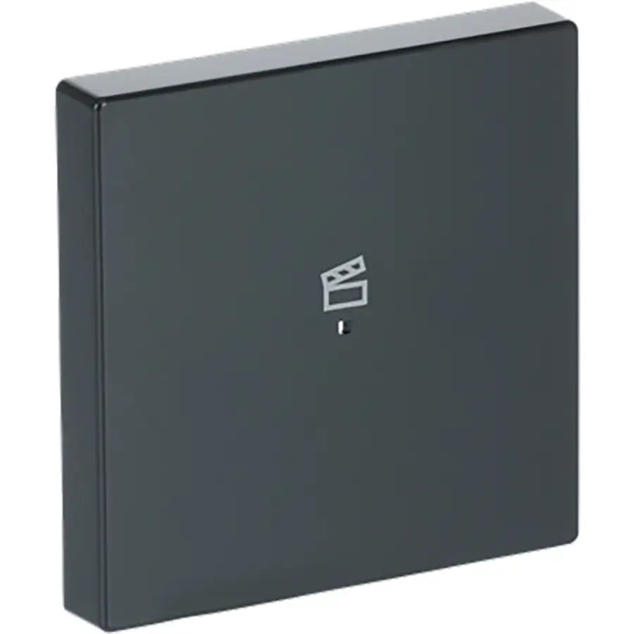 Busch-Jaeger bedieningswip 1-voudig met symbool scene tbv bedieningselement flex Future Linear antraciet glans (6233-10-81)