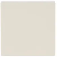 Busch-Jaeger bedieningswip 1-voudig tbv bedieningselement flex 1-voudig Future Linear creme (6230-10-82)