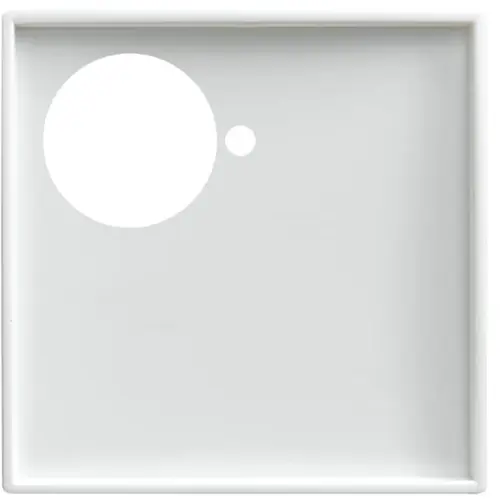 Busch-Jaeger centr plaat 1710-0-4072 (1790-591-914)