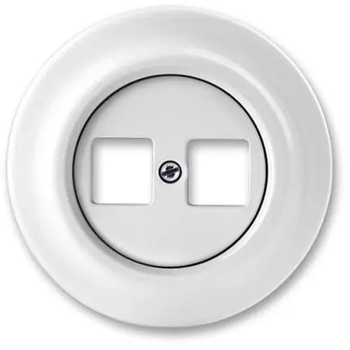Busch-Jaeger centraalplaat met draagring voor 2x modular jack connectors porselein Decento (1800 J-64)