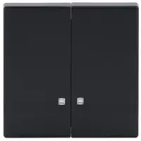 Busch-Jaeger schakelwip 2-voudig met controlevenster Future Linear antraciet glans (1785 K-81)