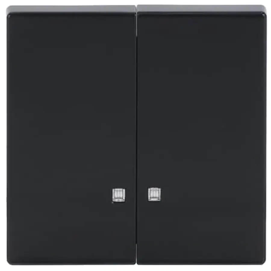 Busch-Jaeger schakelwip 2-voudig met controlevenster Future Linear antraciet glans (1785 K-81)