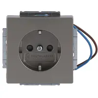 Busch-Jaeger wandcontactdoos randaarde Safety+ met LED-oriëntatieverlichting Pure Stainless Steel (20 EUCBLI-866)