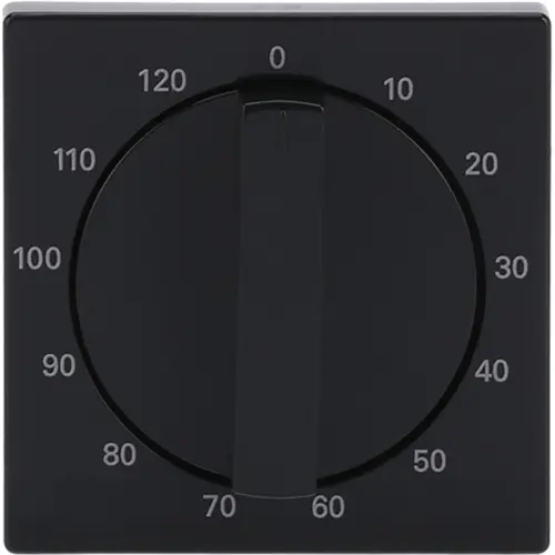 Busch-Jaeger draaigreep tijdschakelaar 120 min Future Linear antraciet glans (1771-81-103)