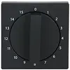 Busch-Jaeger draaiknop tijdschakelaar 15 min Future Linear zwart mat (1770-885-103) Busch-Jaeger draaiknop tijdschakelaar 15 min Future Linear zwart mat (1770-885-103)