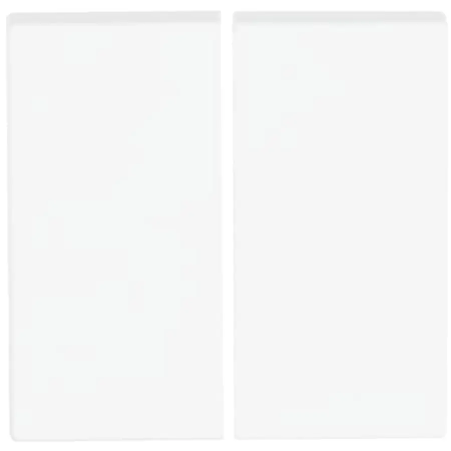 Busch-Jaeger Friends of Hue schakelwip 2-voudig Future Linear studiowit mat (6736 FoH-884)