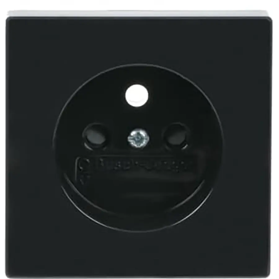 Busch-Jaeger centraalplaat voor wandcontactdoos met penaarde Future Linear antraciet glans (2399 UCKS-81)