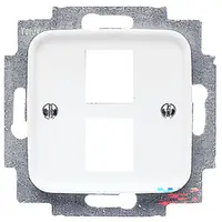 Busch-Jaeger centraalplaat + draagring 2x modular jack Reflex SI (2561-02-214)