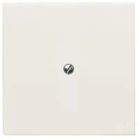 Busch-Jaeger blindplaat incl. draagframe IP44 creme (2138-32)