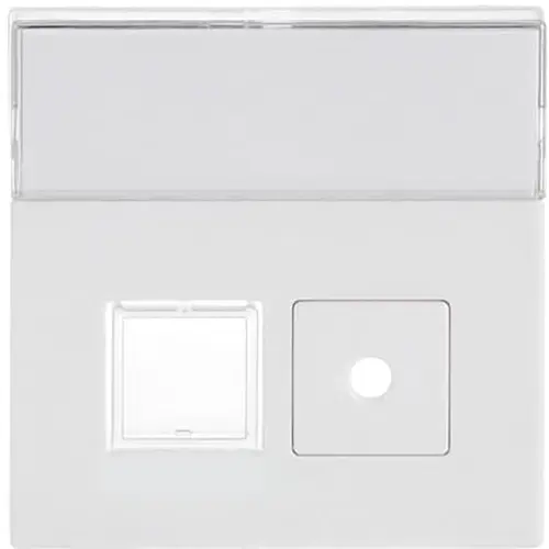 Busch-Jaeger bedelem imp 1572cn-84 miv (1572 CN-84)