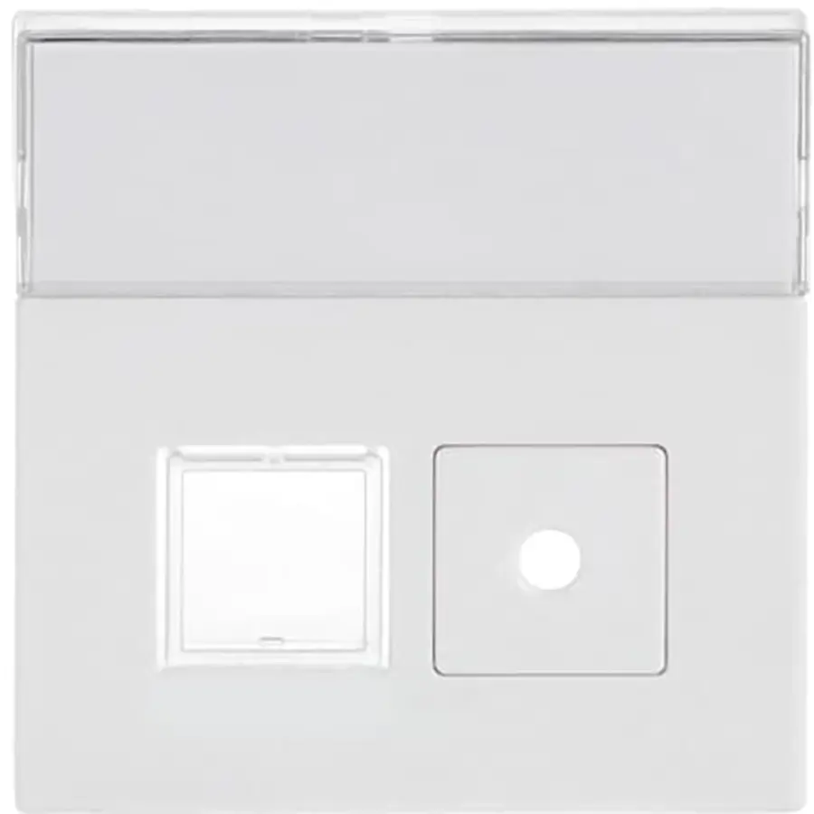 Busch-Jaeger bedelem imp 1572cn-84 miv (1572 CN-84)