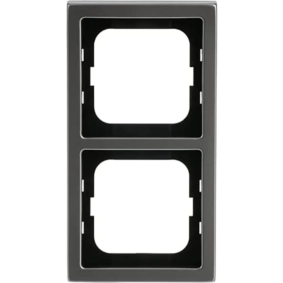 Busch-Jaeger afdekraam 2-voudig Pure Stainless Steel (1722-866K)