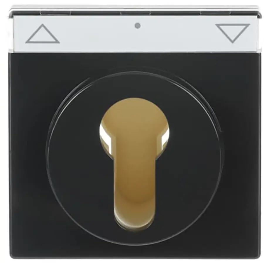 Busch-Jaeger cpl slot f-antraciet (1755 SL/PZ-81-101)