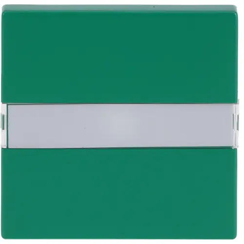 Busch-Jaeger tkstwip ws krs pls grn futr (1764 NLI-13-82) Busch-Jaeger tkstwip ws krs pls grn futr (1764 NLI-13-82)