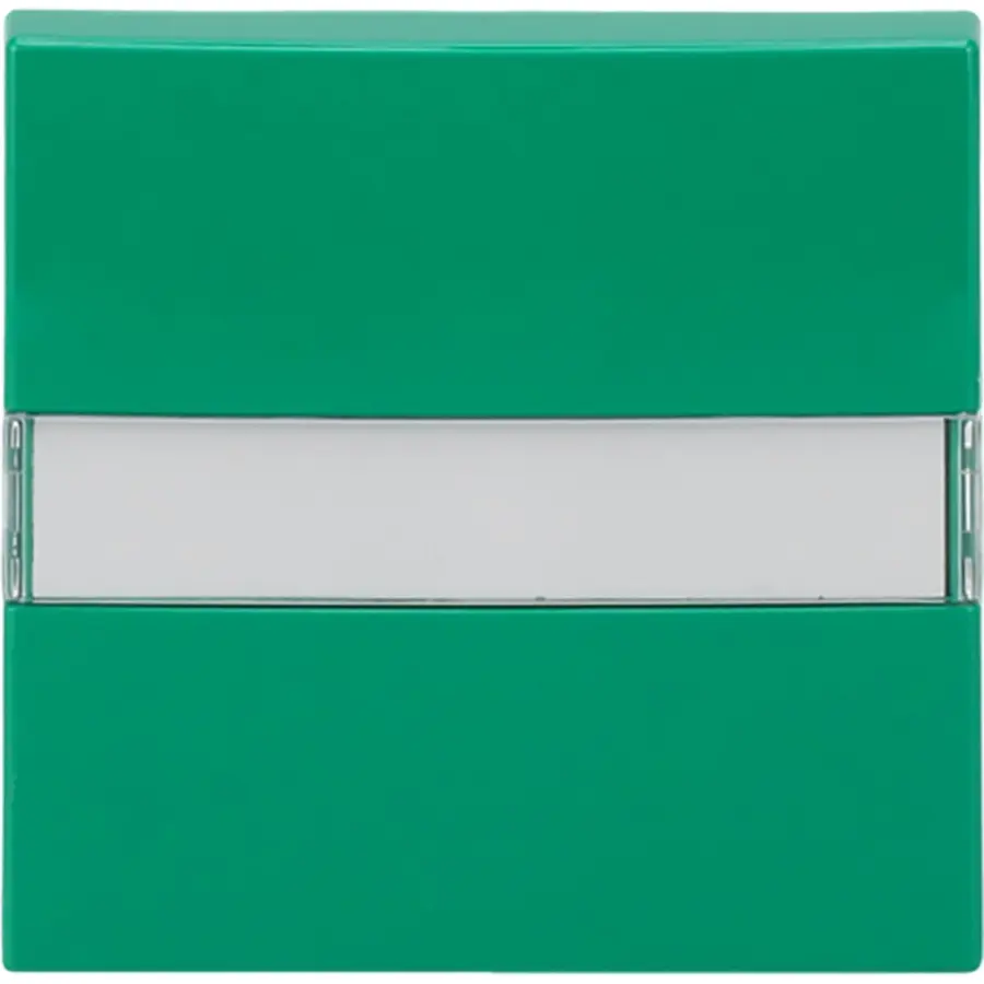 Busch-Jaeger tkstwip lns wis krs pls grn (2510 NLI-13-914)