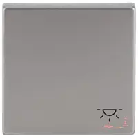 Busch-Jaeger schakelwip symbool licht Pure Stainless Steel (2520 LI-866)