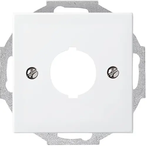 Busch-Jaeger inzpl 19mm bsi (2534-914)