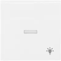 Busch-Jaeger bed. elem 1731-0-2017 (1789 LI-914)