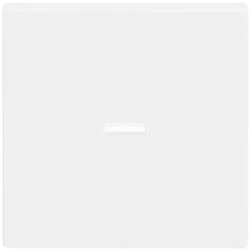 Busch-Jaeger schakelwip controlevenster klein (1789 N-84)