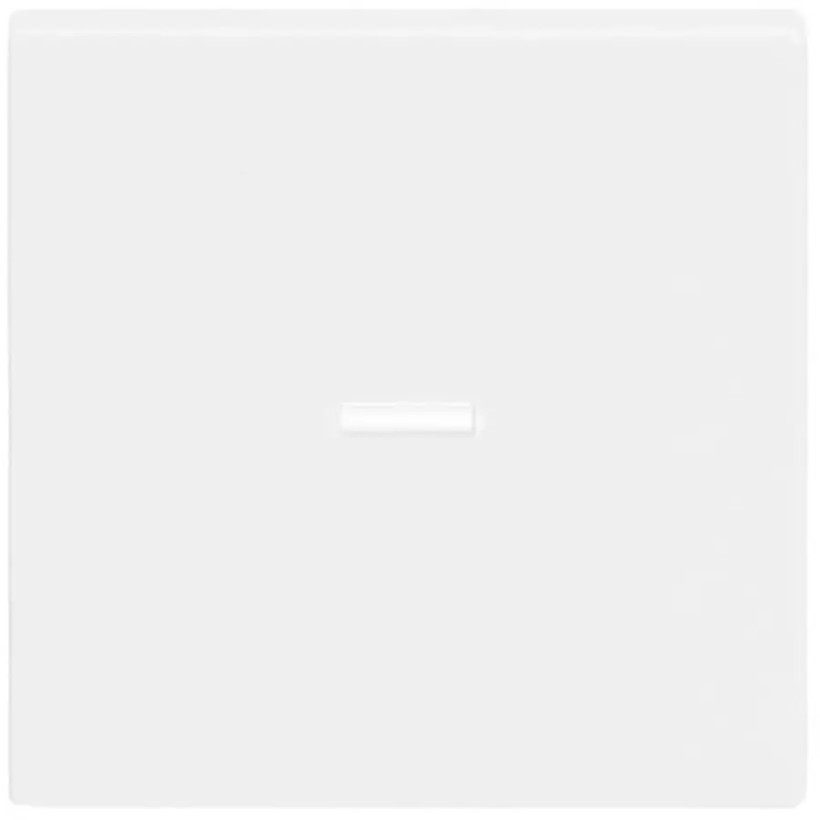 Busch-Jaeger schakelwip controlevenster klein (1789 N-84)