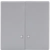 Busch-Jaeger schakelwip 2-voudig met controlevenster Future Linear aluzilver (1785 K-83)