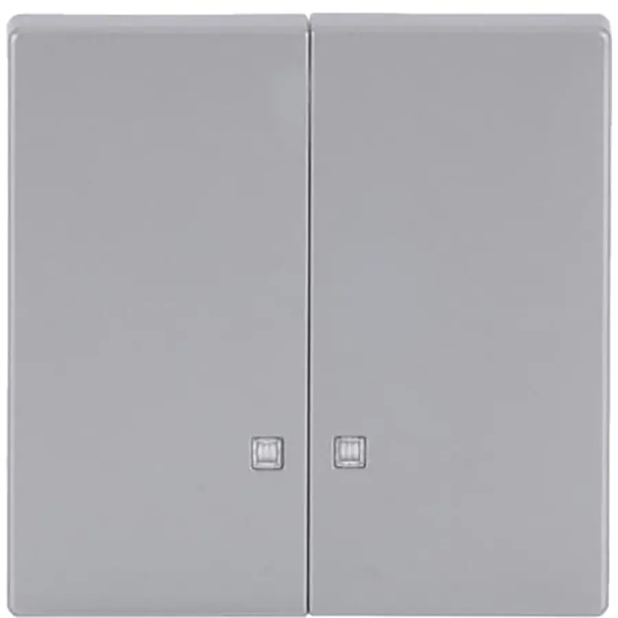 Busch-Jaeger schakelwip 2-voudig met controlevenster Future Linear aluzilver (1785 K-83)