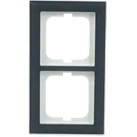 Busch-Jaeger afdekraam 2-voudig Axcent glas oester (1722-229)