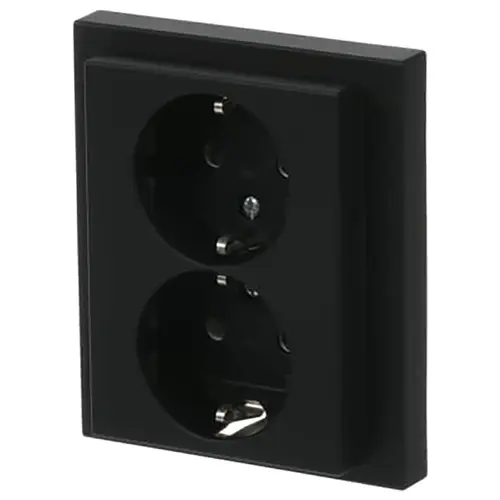 Busch-Jaeger wandcontactdoos 2-voudig randaarde kindveilig voor enkele inbouwdoos Future Linear zwart mat (202 EUJRB-885)