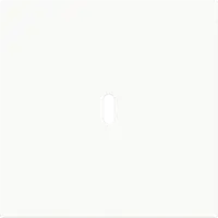 Busch-Jaeger centraalplaat USB-C Art Linear studiowit glans (6479-44G)