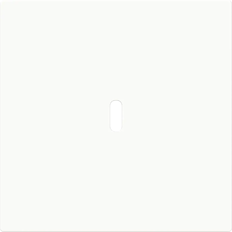 Busch-Jaeger centraalplaat USB-C Art Linear studiowit glans (6479-44G)