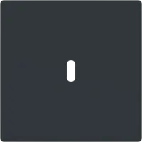 Busch-Jaeger centraalplaat USB-C antraciet glans (6479-81)