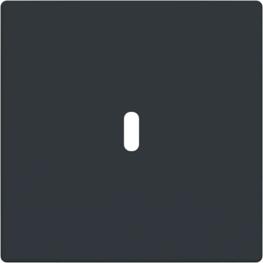 Busch-Jaeger centraalplaat USB-C Future Linear antraciet glans (6479-81)