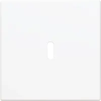 Busch-Jaeger centraalplaat USB-C Balance SI wit glans (6479-914)