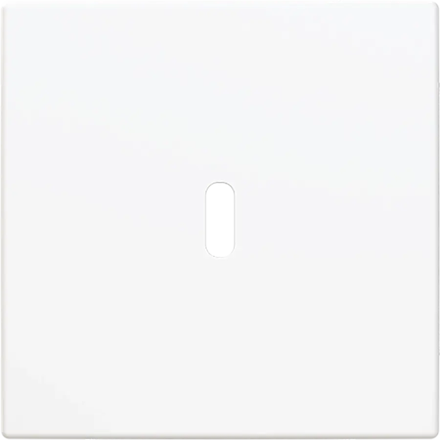 Busch-Jaeger centraalplaat USB-C Balance SI wit glans (6479-914)