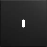 Busch-Jaeger centraalplaat USB-C Balance SI zwart mat (6479-915)