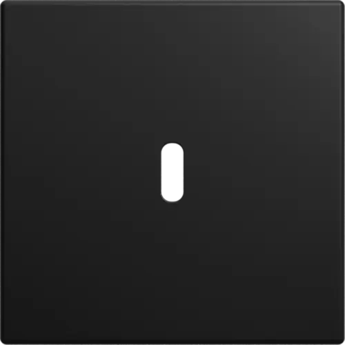 Busch-Jaeger centraalplaat USB-C Balance SI zwart mat (6479-915)