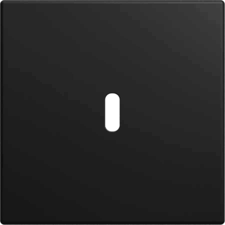 Busch-Jaeger centraalplaat USB-C Balance SI zwart mat (6479-915)