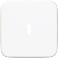 Busch-Jaeger centraalplaat USB-C Reflex SI (6479-214)