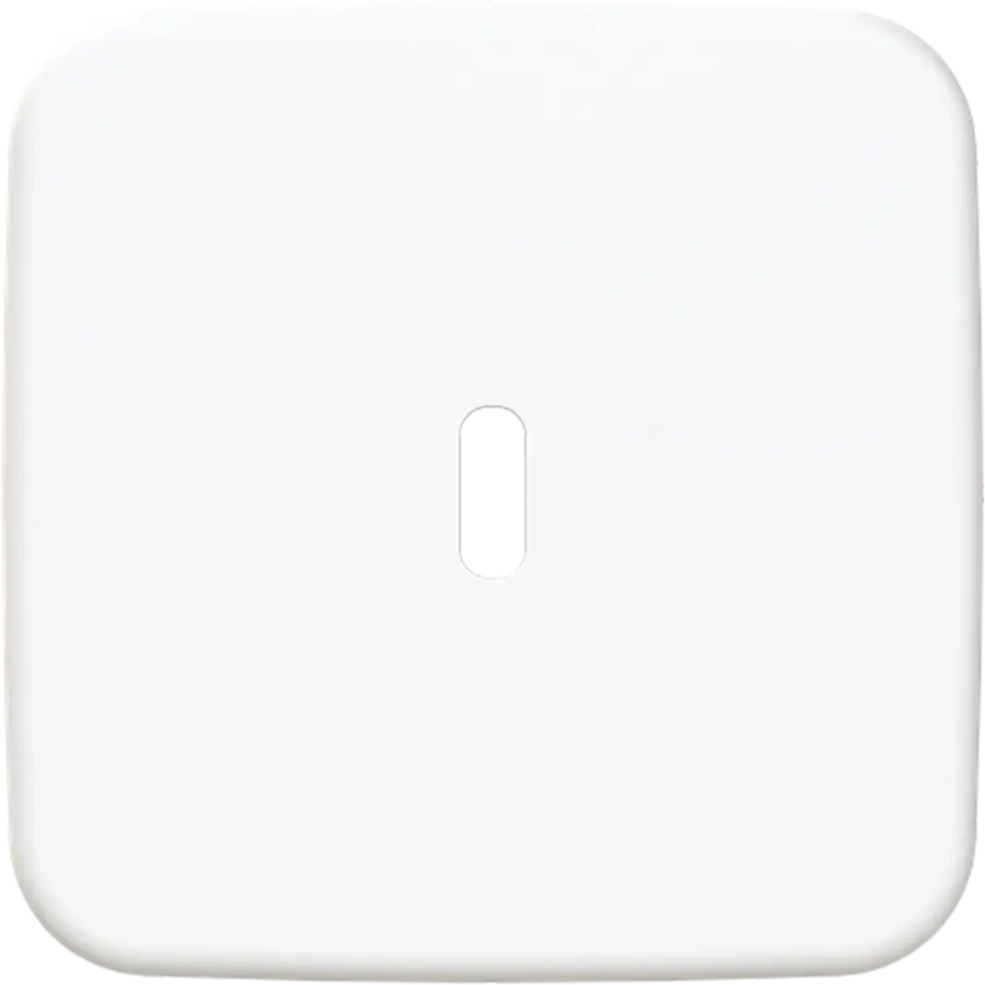 Busch-Jaeger centraalplaat USB-C Reflex SI (6479-214)