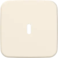 Busch-Jaeger centraalplaat USB-C Standaard SI (6479-212)