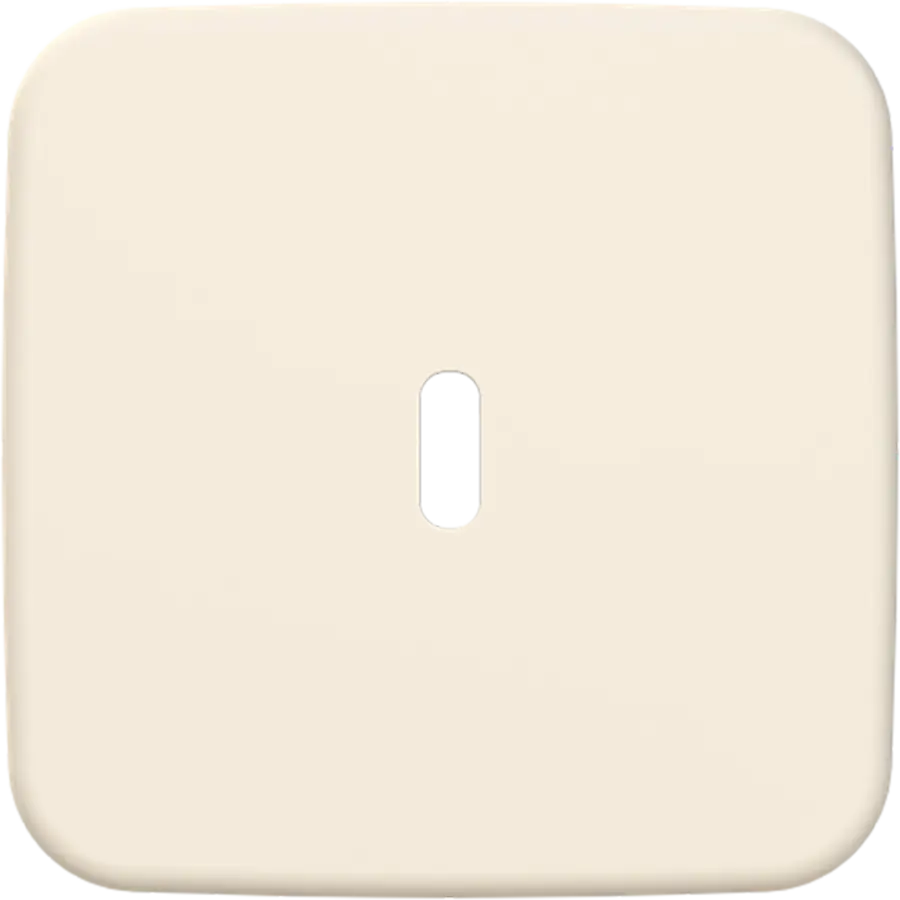 Busch-Jaeger centraalplaat USB-C Standaard SI (6479-212)