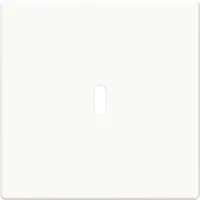 Busch-Jaeger centraalplaat USB-C Future Linear studiowit glans (6479-84)