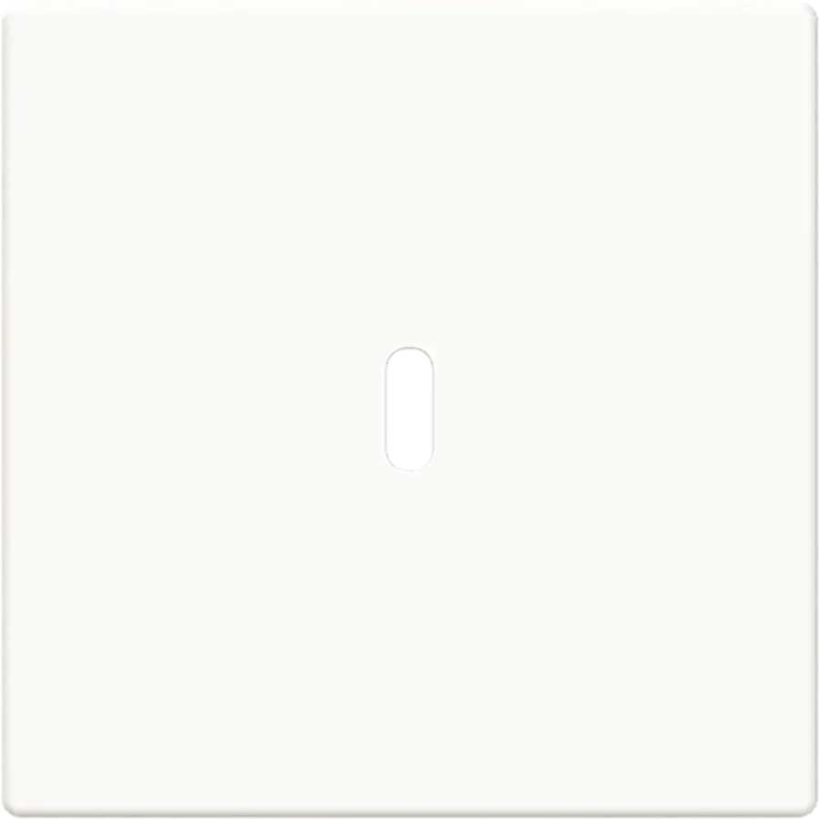 Busch-Jaeger centraalplaat USB-C studiowit glans (6479-84)