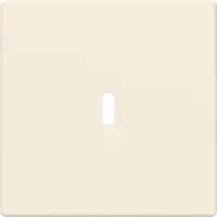 Busch-Jaeger centraalplaat USB-C creme glans (6479-82)