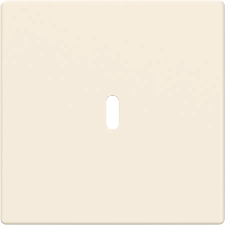 Busch-Jaeger centraalplaat USB-C creme glans (6479-82)